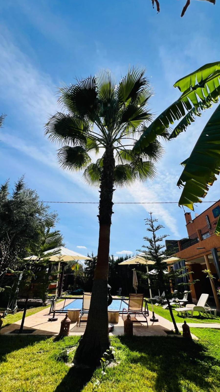 Ilafe Farmhouse, Villa Avec Piscine Chauffee Privee Et Jacuzzi Pour Familles Marrakesch Exterior foto